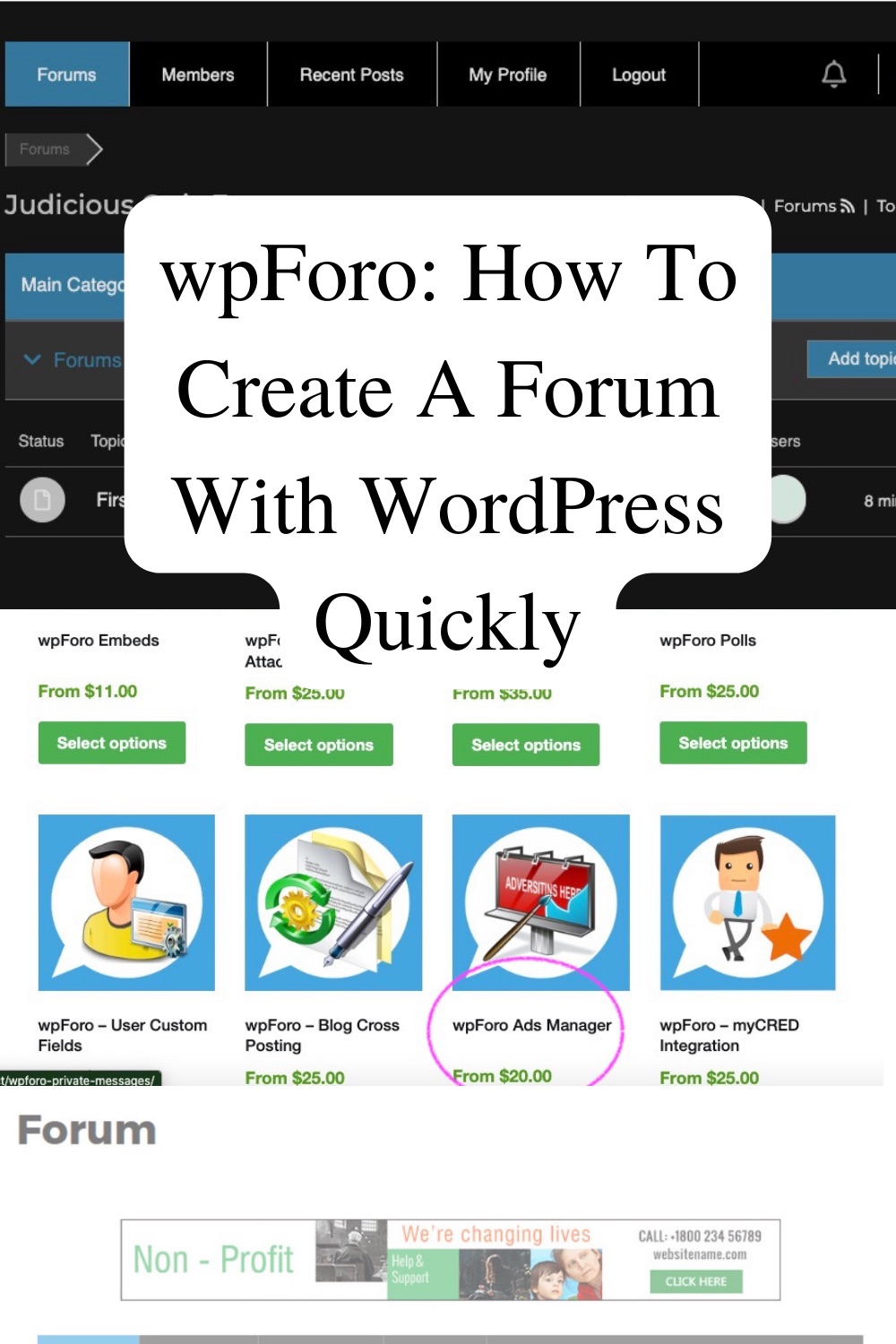 Wpforo How To Create A Forum With Wordpress Quickly Good Passive